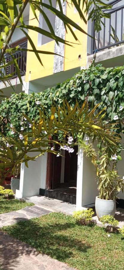 Mandara Rest Bed & Breakfast ฮิกคาดูวา ภายนอก รูปภาพ