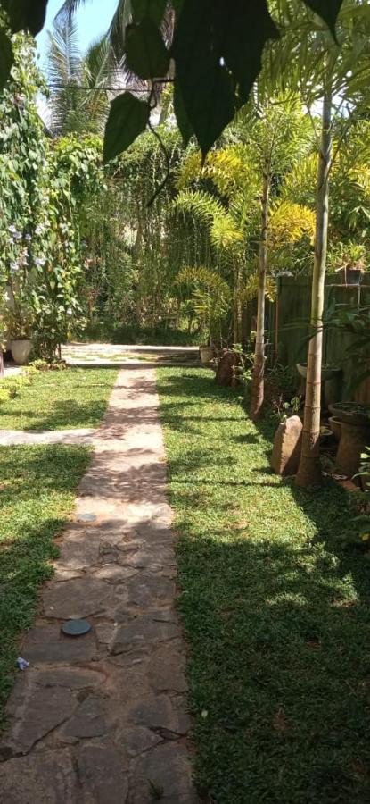 Mandara Rest Bed & Breakfast ฮิกคาดูวา ภายนอก รูปภาพ