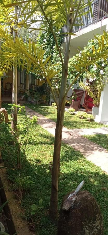 Mandara Rest Bed & Breakfast ฮิกคาดูวา ภายนอก รูปภาพ