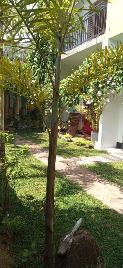 Mandara Rest Bed & Breakfast ฮิกคาดูวา ภายนอก รูปภาพ