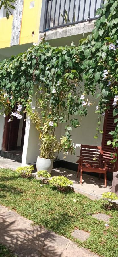 Mandara Rest Bed & Breakfast ฮิกคาดูวา ภายนอก รูปภาพ
