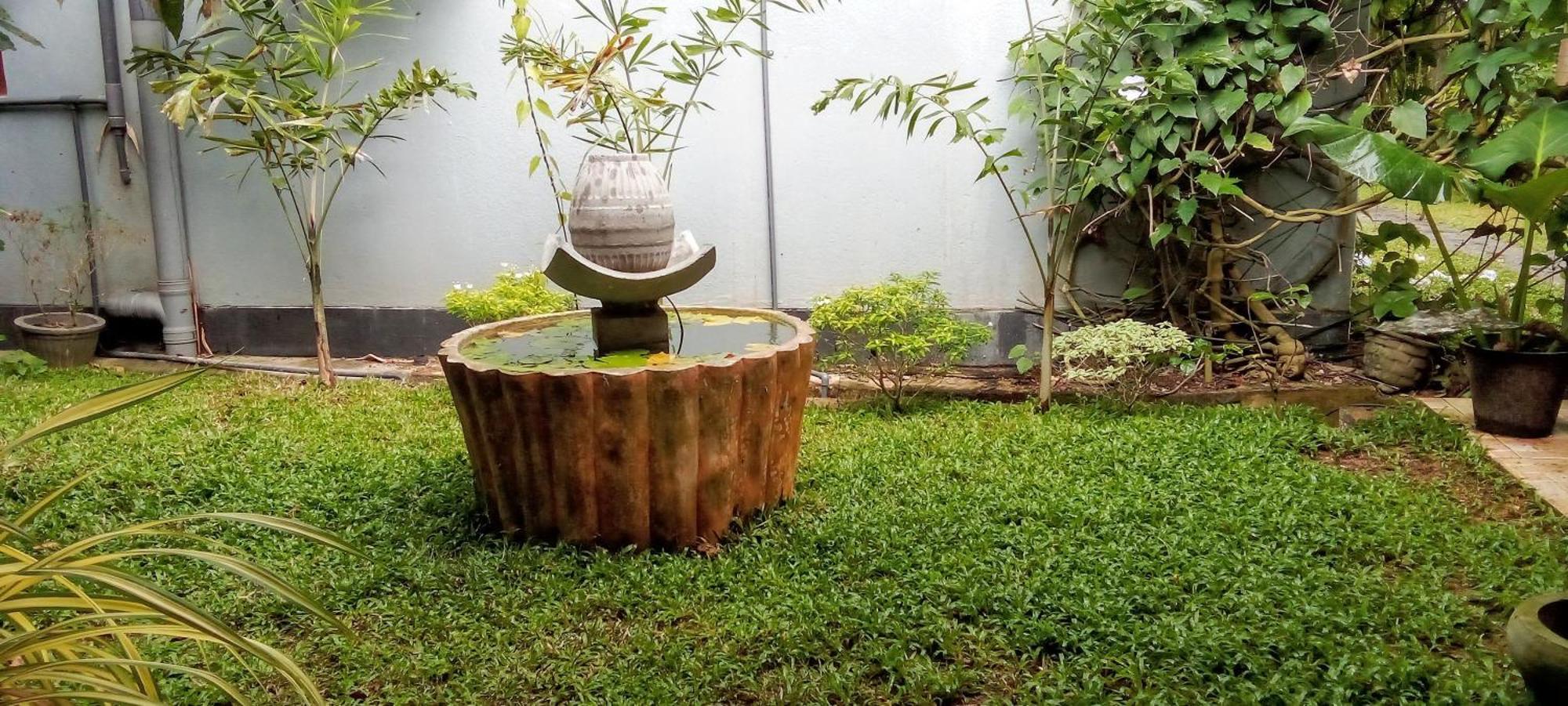 Mandara Rest Bed & Breakfast ฮิกคาดูวา ห้อง รูปภาพ